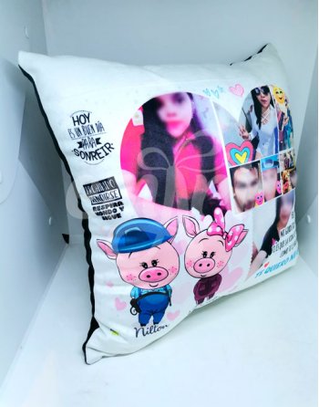 almohada chanchito cerditos electricista y obstetra personalizado