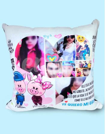 almohada chanchito cerditos electricista y obstetra personalizado